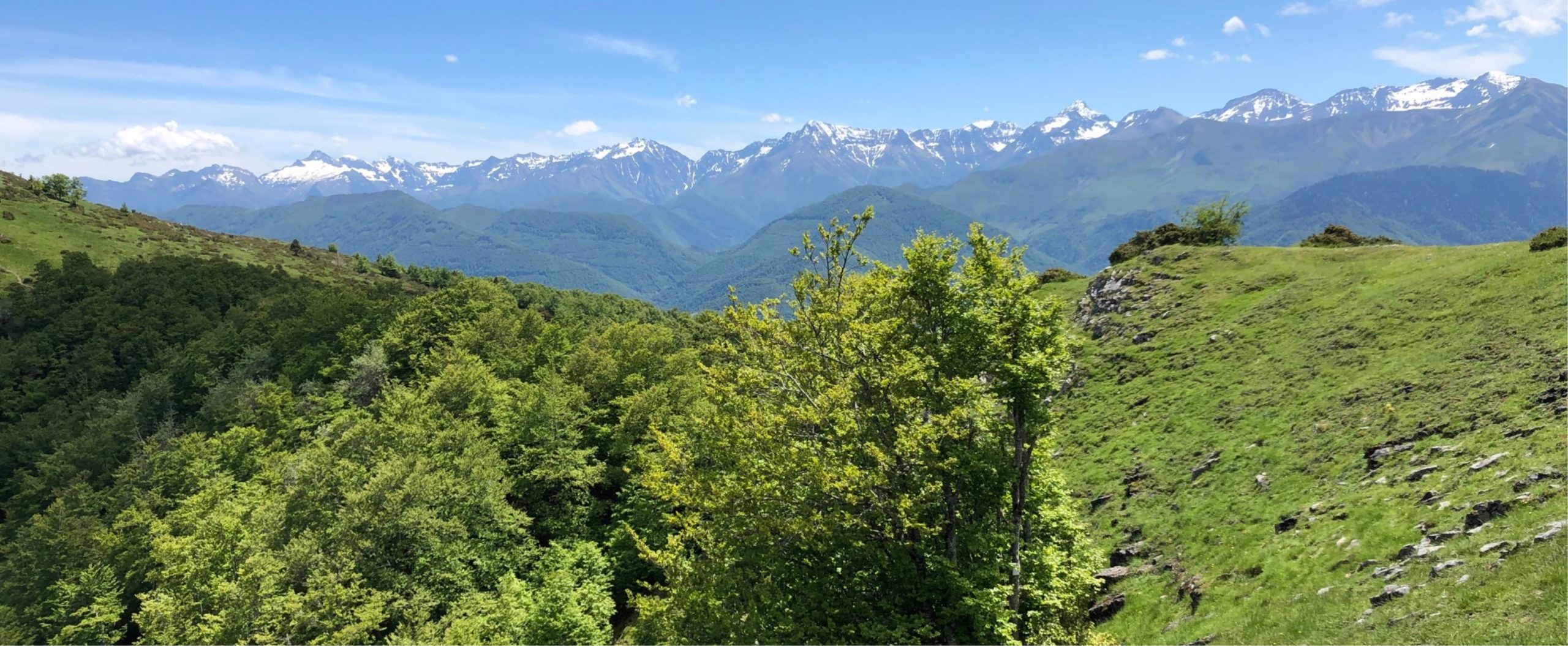 Aires protégées terrestres en Occitanie