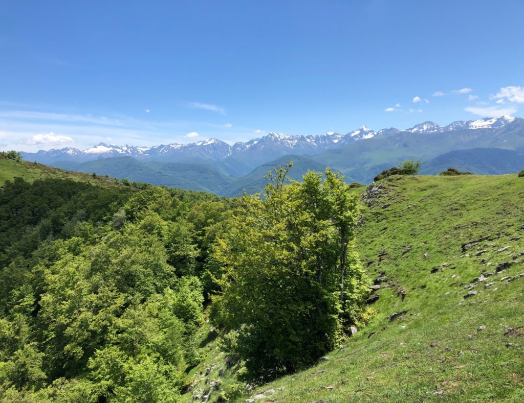 L'observatoire régional de la biodiversité