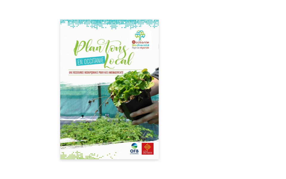 Guide plantation locale