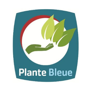 Plante Bleue