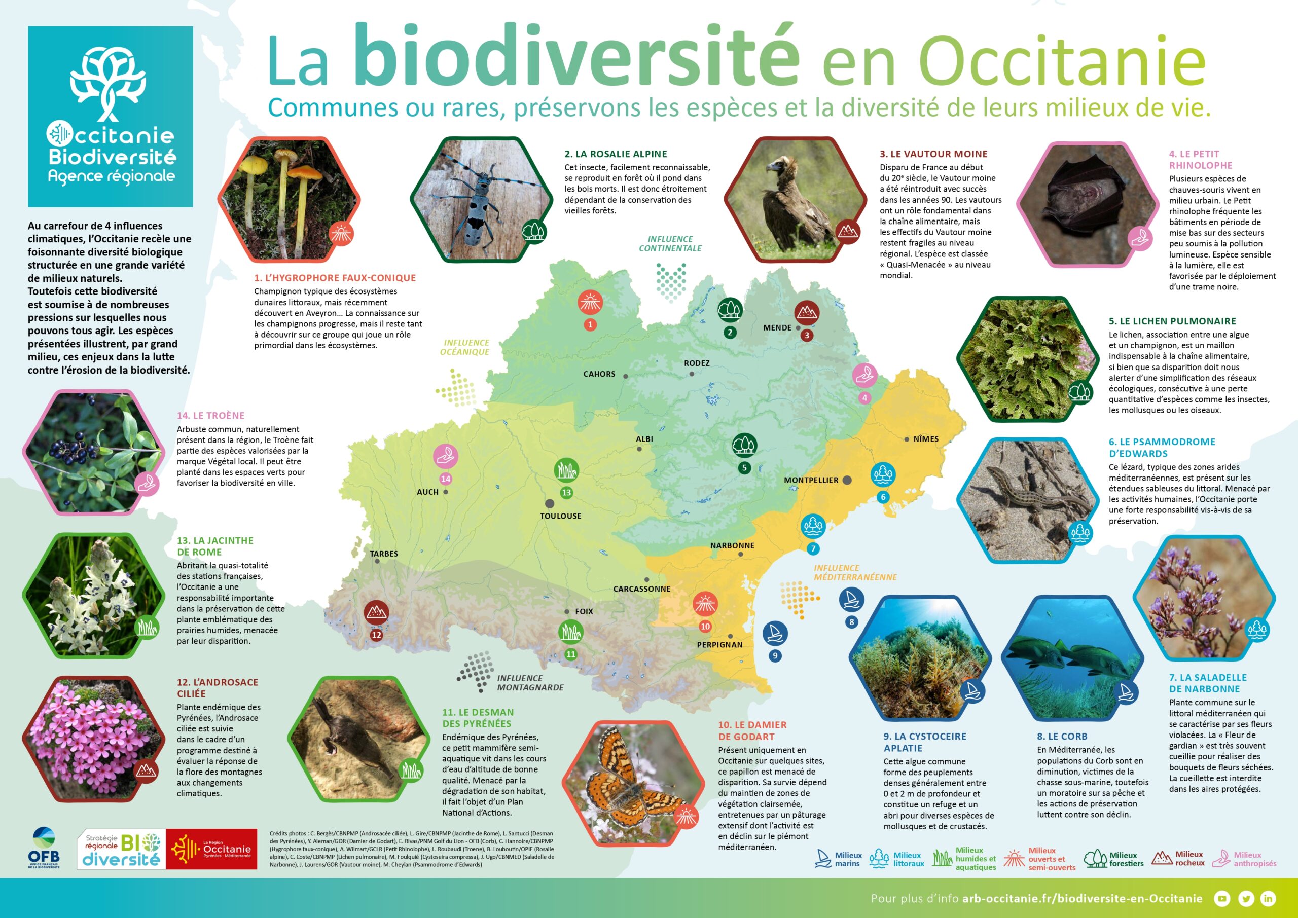 Poster « La biodiversité en Occitanie »