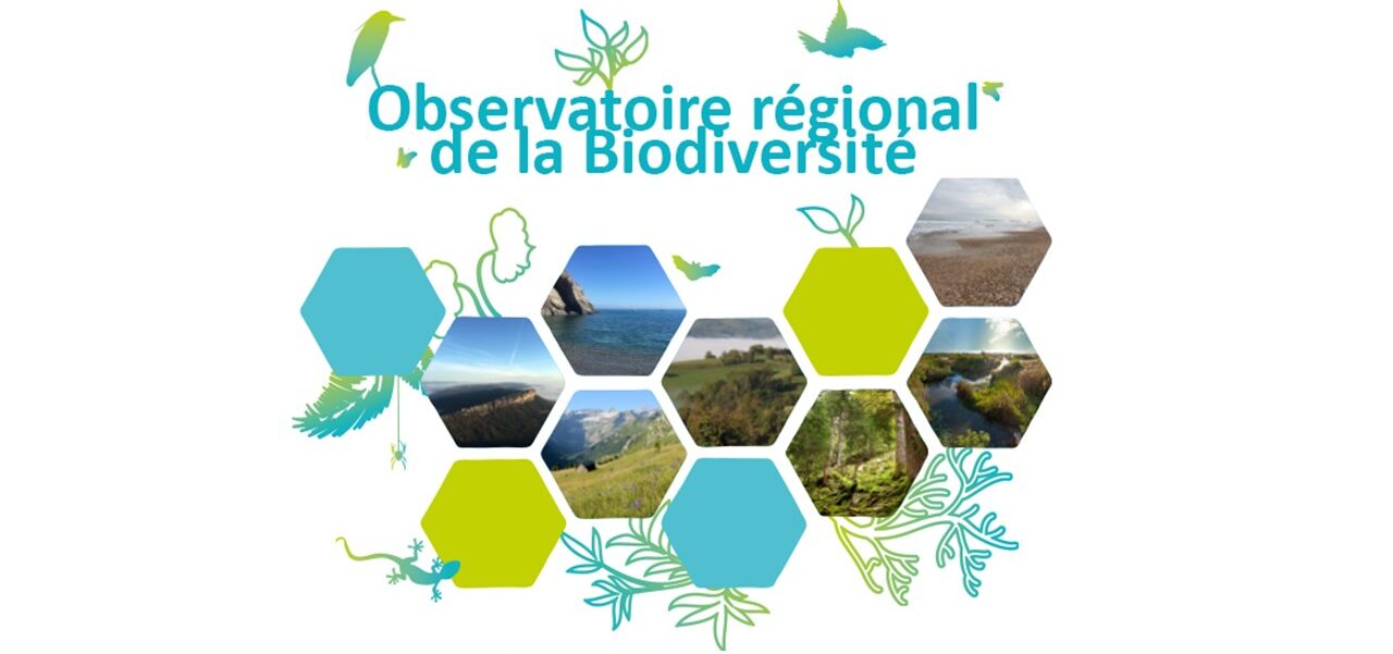 Webinaire – « L’ORB : de l’état de la biodiversité au passage à l’action ! »