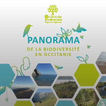 Panorama de la biodiversité en Occitanie