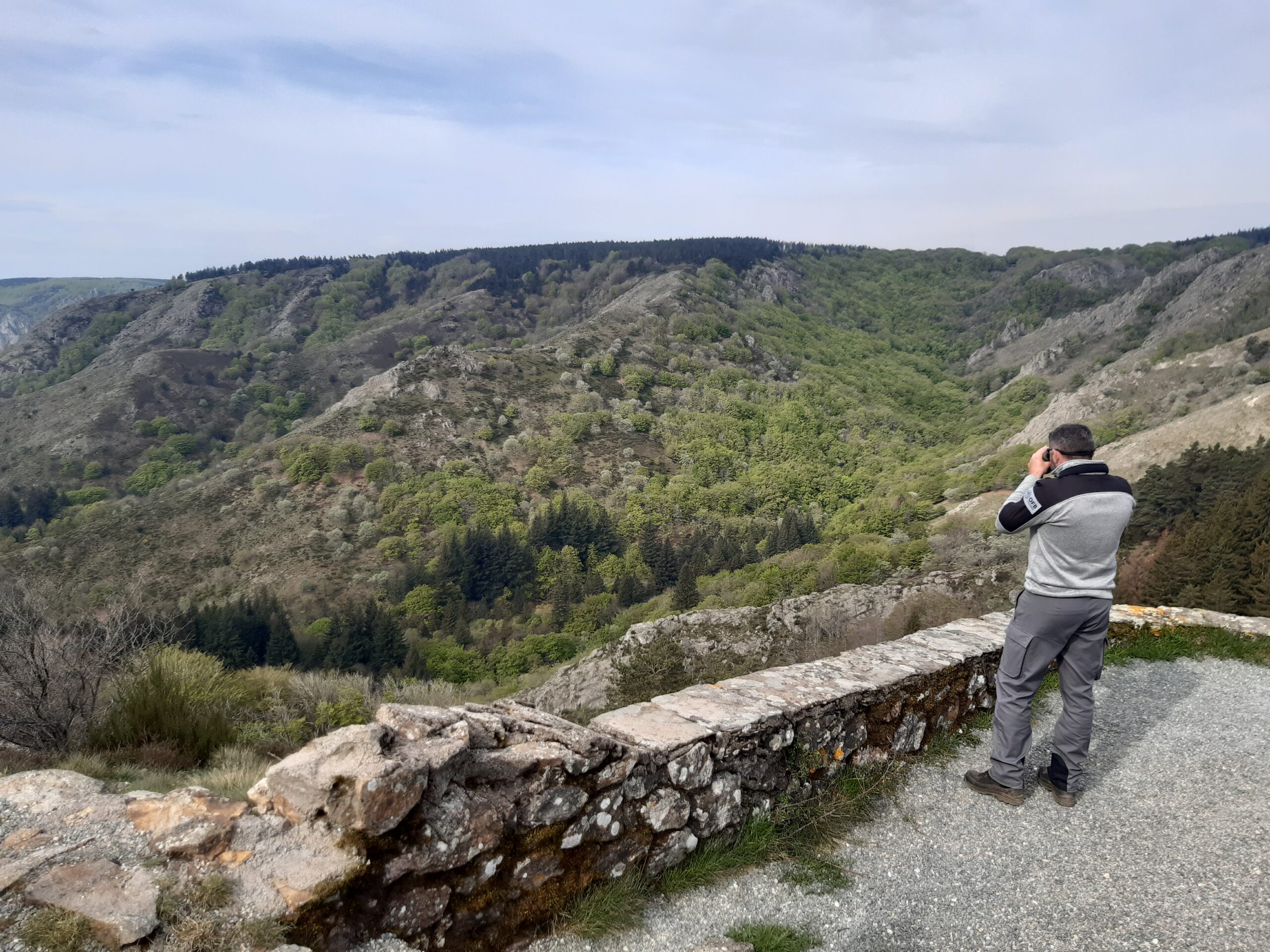 Etat des lieux des suivis naturalistes en Occitanie