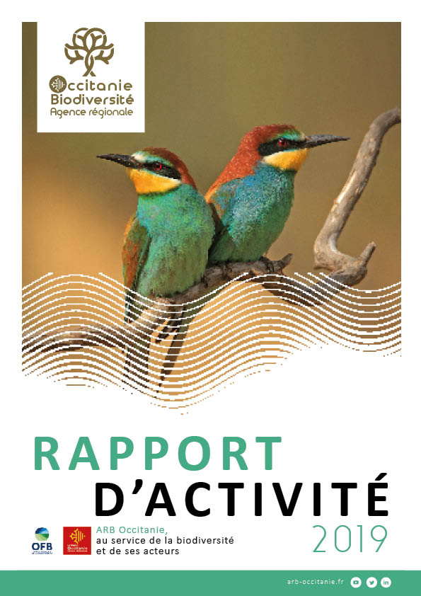 Rapport d’activités 2019