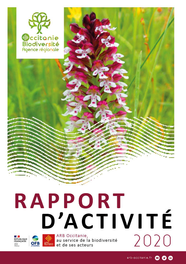 Rapport d’activités 2020