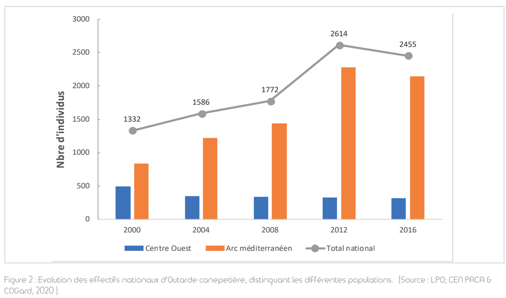 Evolution des effectifs régionaux d’Outarde canepetière ( Source : COGard & LPO, 2020)