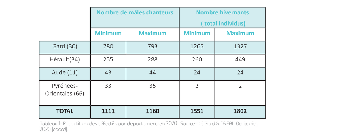 Répartition des effectifs par département en 2020. Source : COGard & DREAL Occitanie, 2020 (coord).