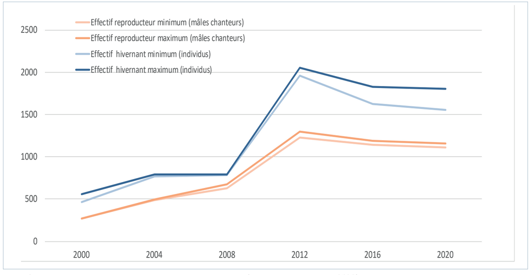 Evolution des effectifs nationaux d’Outarde canepetière, distinguant les différentes populations. (Source : LPO; CEN PACA & COGard, 2020 ).