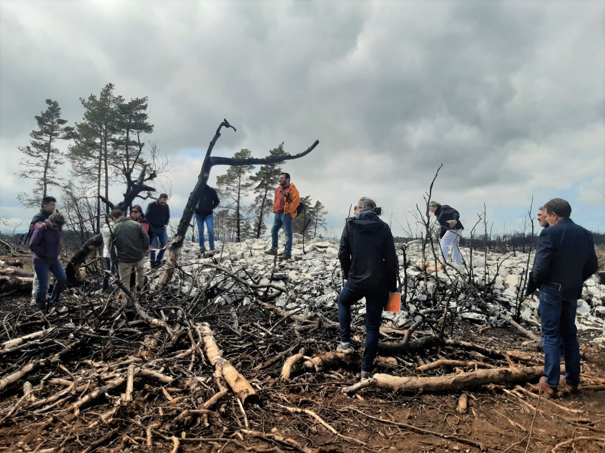 Incendie : Prévention et gestion post crise dans les espaces naturels gérés