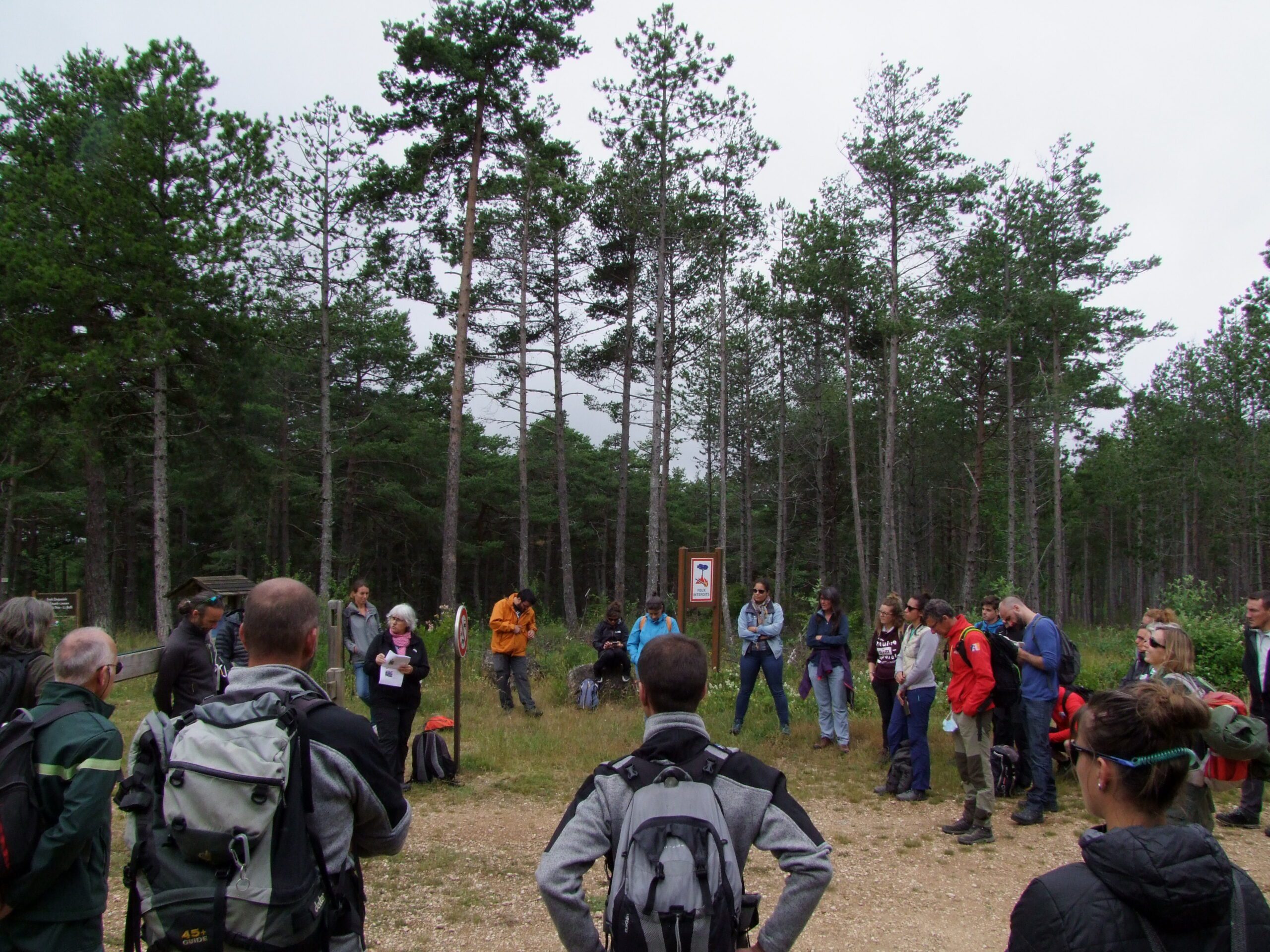 Comment construire un dialogue pérenne entre acteurs des sports de nature en milieu rocheux et gestionnaires d’espaces naturels ?