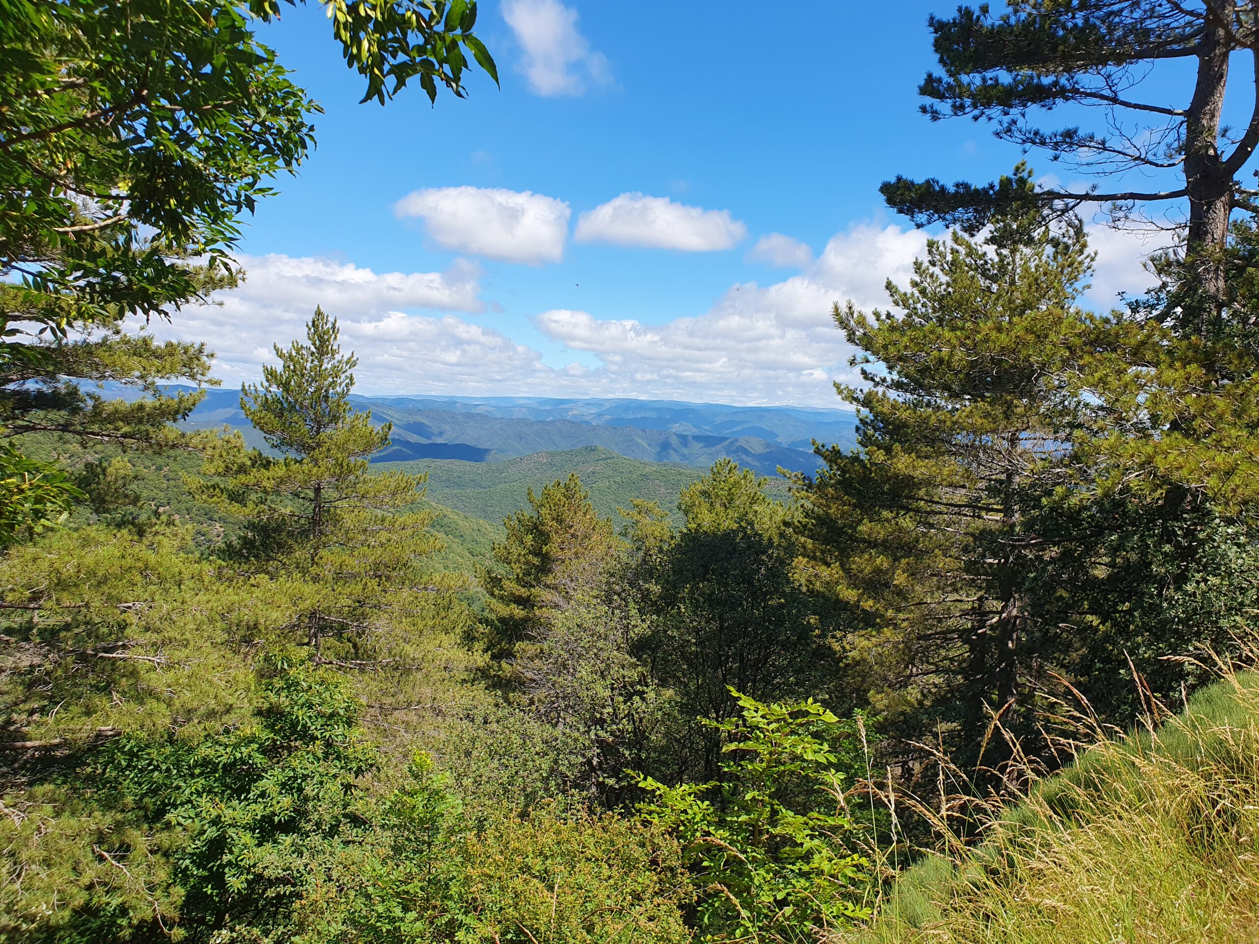 Effort de conservation des secteurs de nature remarquable