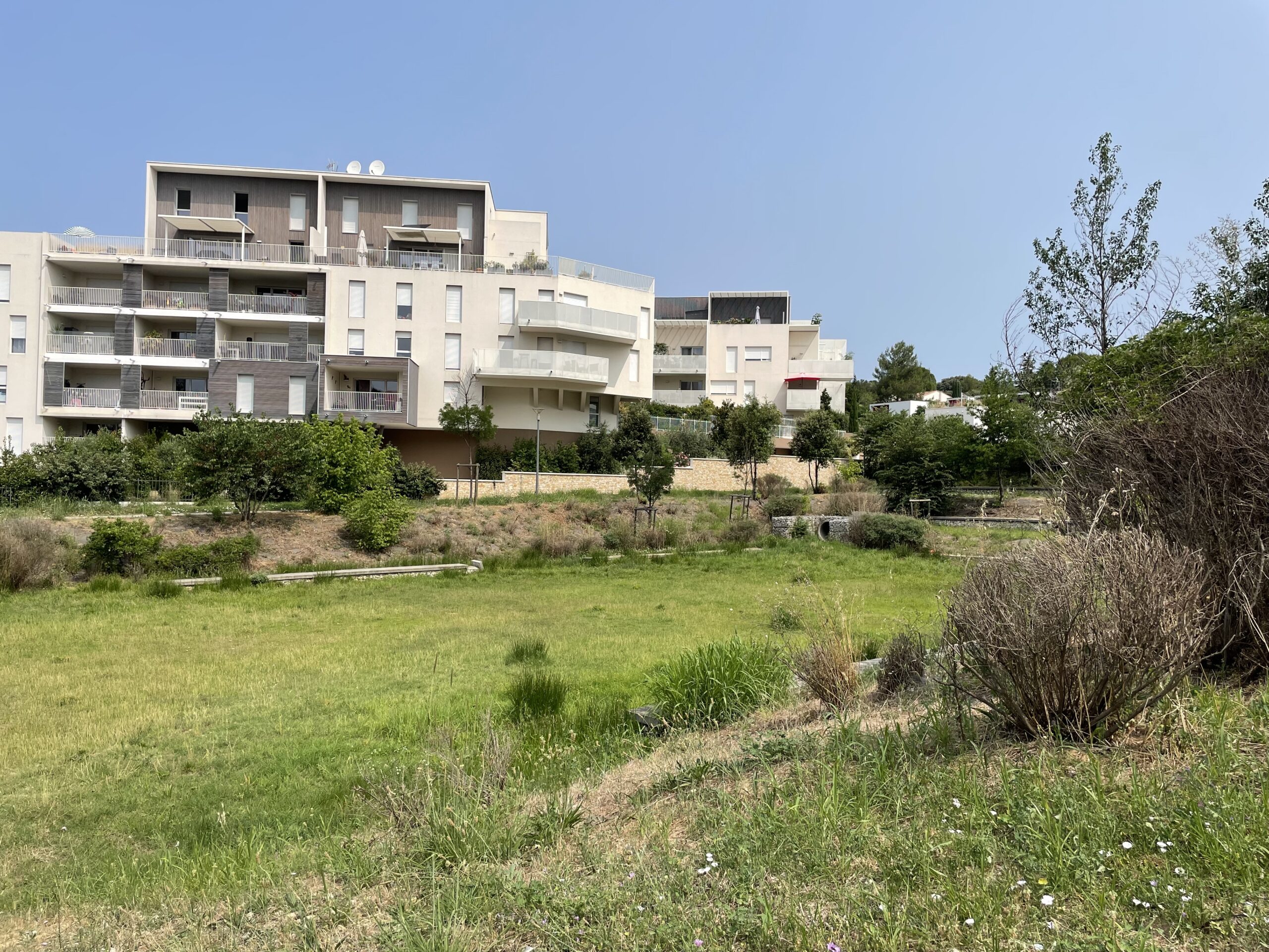 Principal milieu détruit par artificialisation