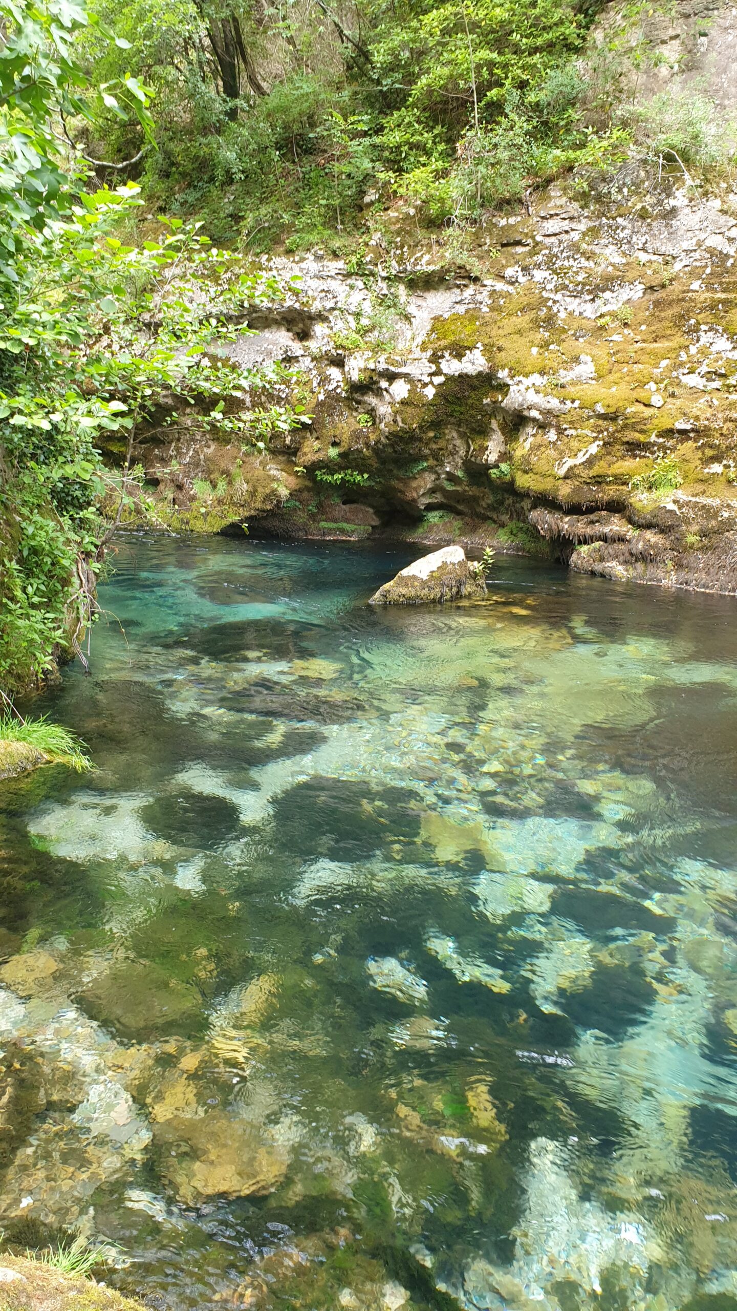 Etat écologique des masses d’eau de surface en Occitanie