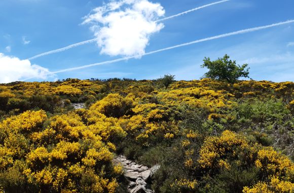 Guide sur Les outils de protection du patrimoine naturel