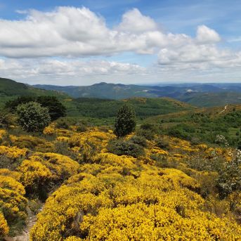 Guide sur Les outils de protection du patrimoine naturel