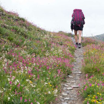 Responsabilité des gestionnaires dans le cadre des activités de pleine nature