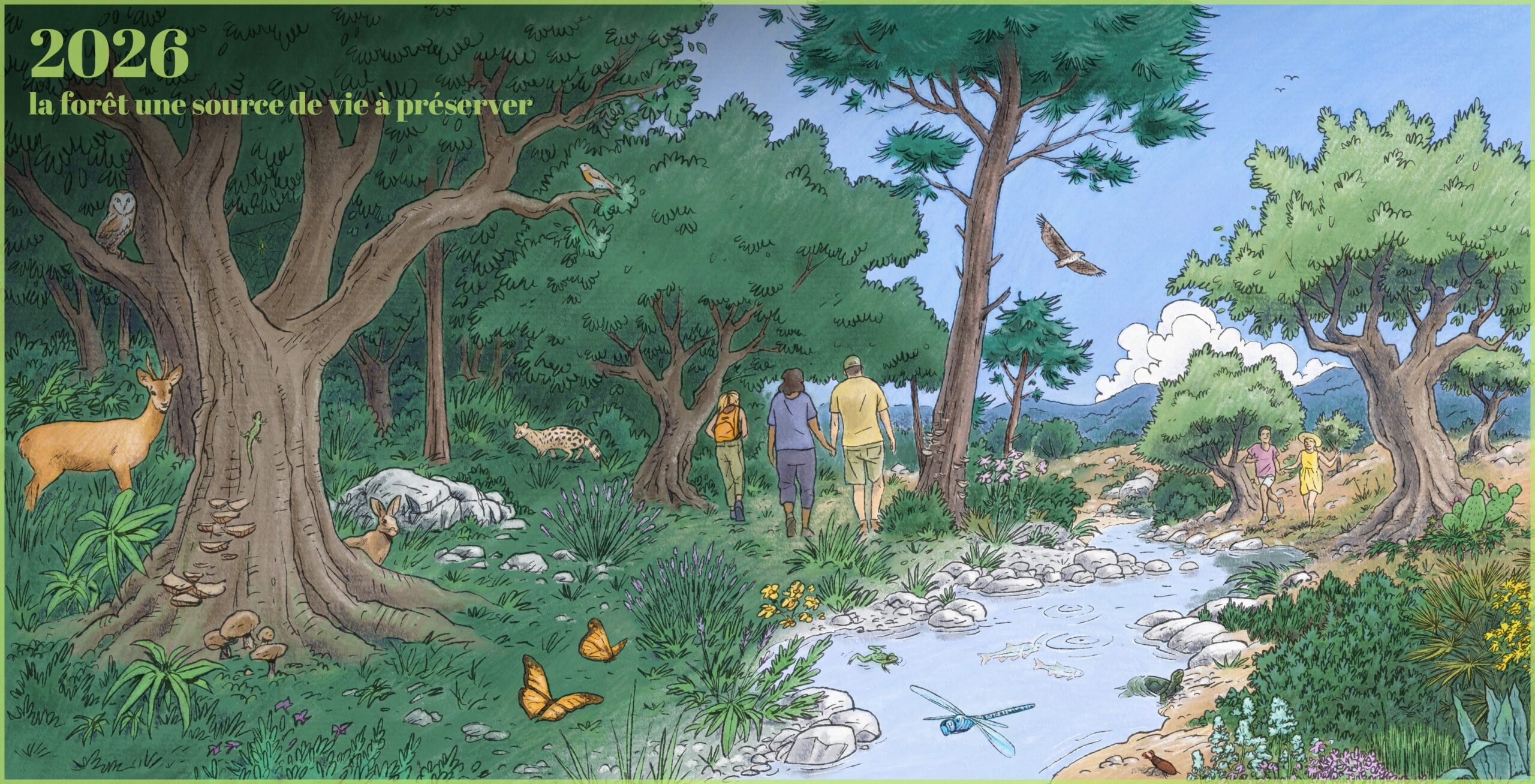 Meilleurs voeux 2026