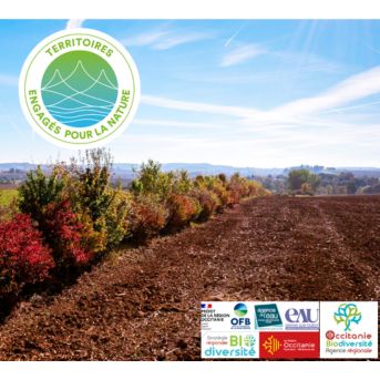 Ouverture des candidatures à TEN 2026